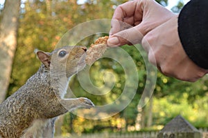 Helping hand photo