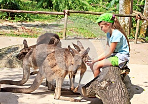 Feeding kangas