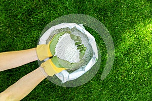 Feeding lawn with granular fertilizer for perfect green grass