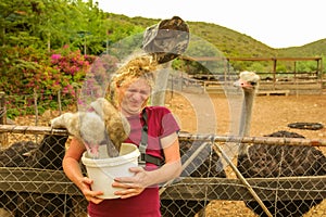 Feeding Ostriches Oudtshoorn