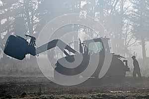 Feeding out in the fog