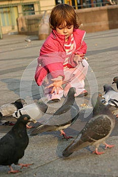 Feeding pigeons