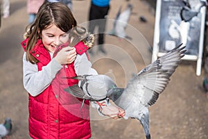 Feeding pigeons in the park. Girl feeds pigeons in London park