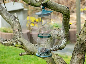 Feeding place for songbirds in winter