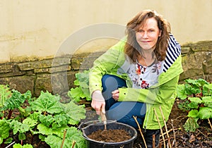 Feeding the rhubarb and raspberry plants, with home made compost. in March.