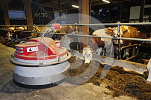 Feeding robot in a cowshed