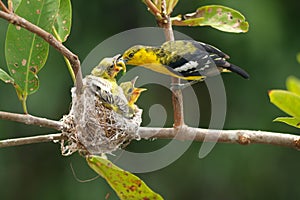 Feeding time