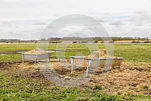 Feeding troughs in a field