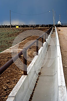 Feedlot Bunk Line