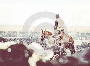 Feedlot Cowboy on Horseback at Work in the Snow