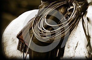 Feedlot Cowboys Saddle and Rope