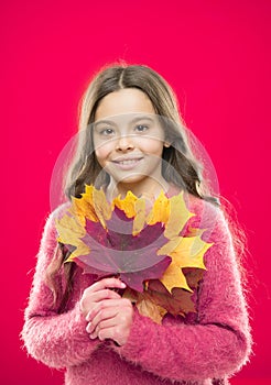 Feel the beauty of nature. autumn kid fashion. Weather change. happy small girl with maple leaf. school time. childhood