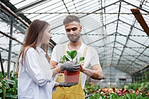 Feeling joy. Couple of florists at work. Girl holding vase with green plant
