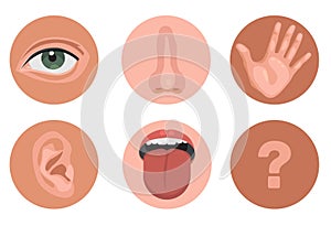 5 feelings sensory organs in rounds. feels sense- eyes vision, nose smell, tongue taste buds, skin touch, hearing ears