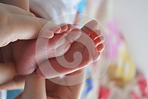 feet of the baby in the palms