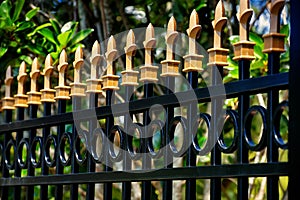 Black Aluminum Fence with gold caps