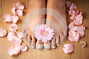 Feet, flower and spa pedicure with nails beauty of woman in studio for floral luxury skincare. Toes of wellness and