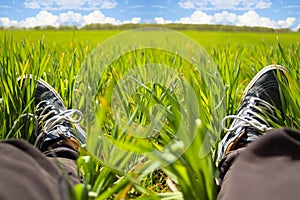 Feet grass. Feet in sneakers in green grass. Relaxing time. Restful moment. Healthy lifestyle. Fresh, blooming grass in