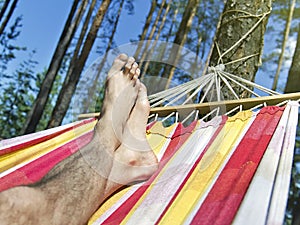 Feet in the hammock on a background of pine forest