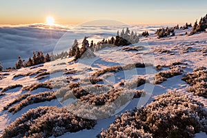 At 10,492 feet high, Mt Jefferson is Oregon`s second tallest mountain. Mount Jefferson Wilderness Area, Oregon The first snow