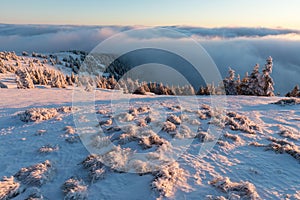 At 10,492 feet high, Mt Jefferson is Oregon`s second tallest mountain. Mount Jefferson Wilderness Area, Oregon The first snow