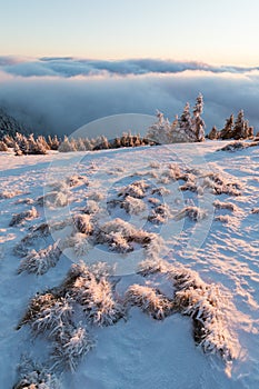 At 10,492 feet high, Mt Jefferson is Oregon`s second tallest mountain. Mount Jefferson Wilderness Area, Oregon The first snow