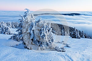 At 10,492 feet high, Mt Jefferson is Oregon`s second tallest mountain. Mount Jefferson Wilderness Area, Oregon The first snow