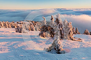 At 10,492 feet high, Mt Jefferson is Oregon`s second tallest mountain. Mount Jefferson Wilderness Area, Oregon The first snow