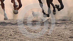 The feet of the horses at the racetrack