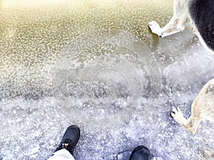 Feet of Hunter or fisherman in big warm boots And paws of dog on snow. Top view. Fisherman on ice of river, lake