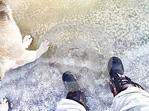 Feet of Hunter or fisherman in big warm boots And paws of dog on snow. Top view. Fisherman on ice of river, lake