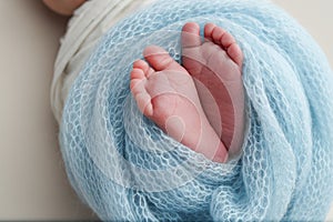 Feet of a new born in a blue blanket Close up of toes, heels and feet of newborn