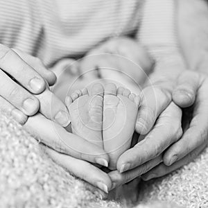 Feet of Newborn baby feet in parent hands, black and white photo. Birth, happiness and happy family concept