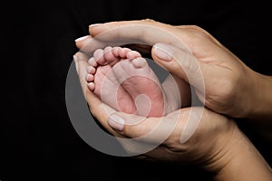 Feet of Newborn Baby, Mother Holding New Born Kid Legs in Hand