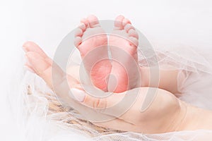 Feet of Newborn Baby, Mother Holding New Born Kid Legs on Hand