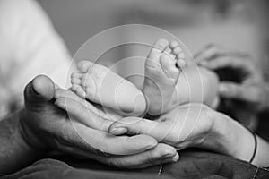 Feet of a newborn baby in parents hands. Mum and Dad hug their baby& x27;s legs.