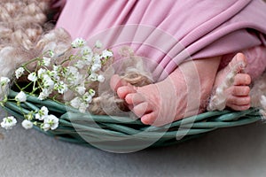 Feet of the newborn baby. pink color. mother`s day. little girl in pink bodysuit with white flowers gypsophila