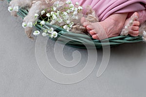 Feet of the newborn baby. pink color. mother`s day. little girl in pink bodysuit with white flowers gypsophila