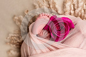 Feet of the newborn baby with pink rose flower, Mother`s day