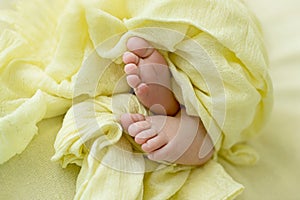 Feet of a newborn baby, toes in the hands of mom and dad, hands and nails of a child, the first days of life after birth, yellow