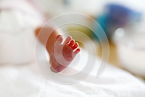 Feet of Newborn baby child seconds and minutes after birth lying on towel