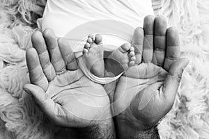 Feet of the newborn on the palms of the parents. black and white photo of a child& x27;s toes, heels