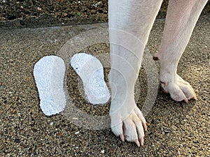 Feet Painted in Sidewalk