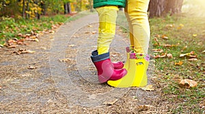 Feet in red and yellow rubber boots of a mother and daughter in the autumn forest. Seasonality, seasons, fallen dry maple leaves,