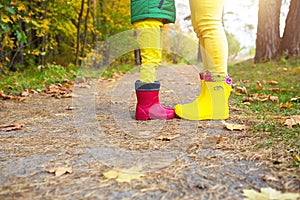 Feet in red and yellow rubber boots of a mother and daughter in the autumn forest. Seasonality, seasons, fallen dry maple leaves, photo