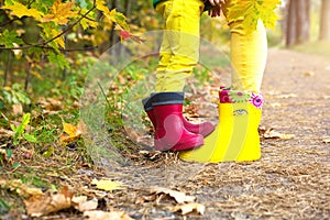 Feet in red and yellow rubber boots of a mother and daughter in the autumn forest. Seasonality, seasons, fallen dry maple leaves,