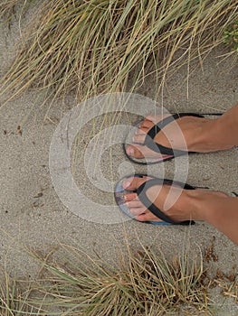 Feet in the sand at the beach in New Zealand photo
