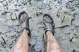 Feet in sandals in a muddy mangrove forest in Sundarbans, Banglade
