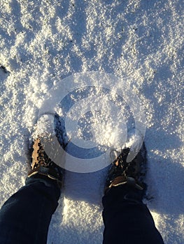 Feet in sneakers on the snow