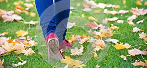 Feet sneakers walking on fall leaves